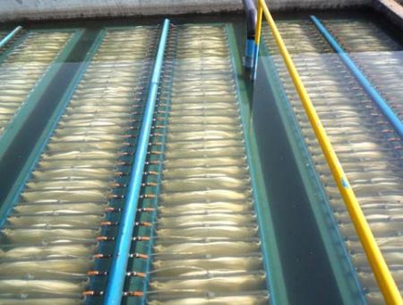 點(diǎn)擊查看詳細(xì)信息<br>標(biāo)題：MBR膜生物反應(yīng)器 閱讀次數(shù)：2583