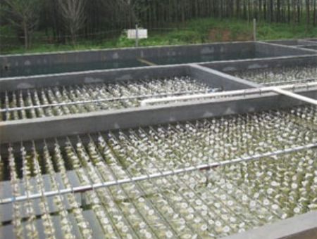 點(diǎn)擊查看詳細(xì)信息<br>標(biāo)題：養(yǎng)殖污水處理 閱讀次數(shù)：4979